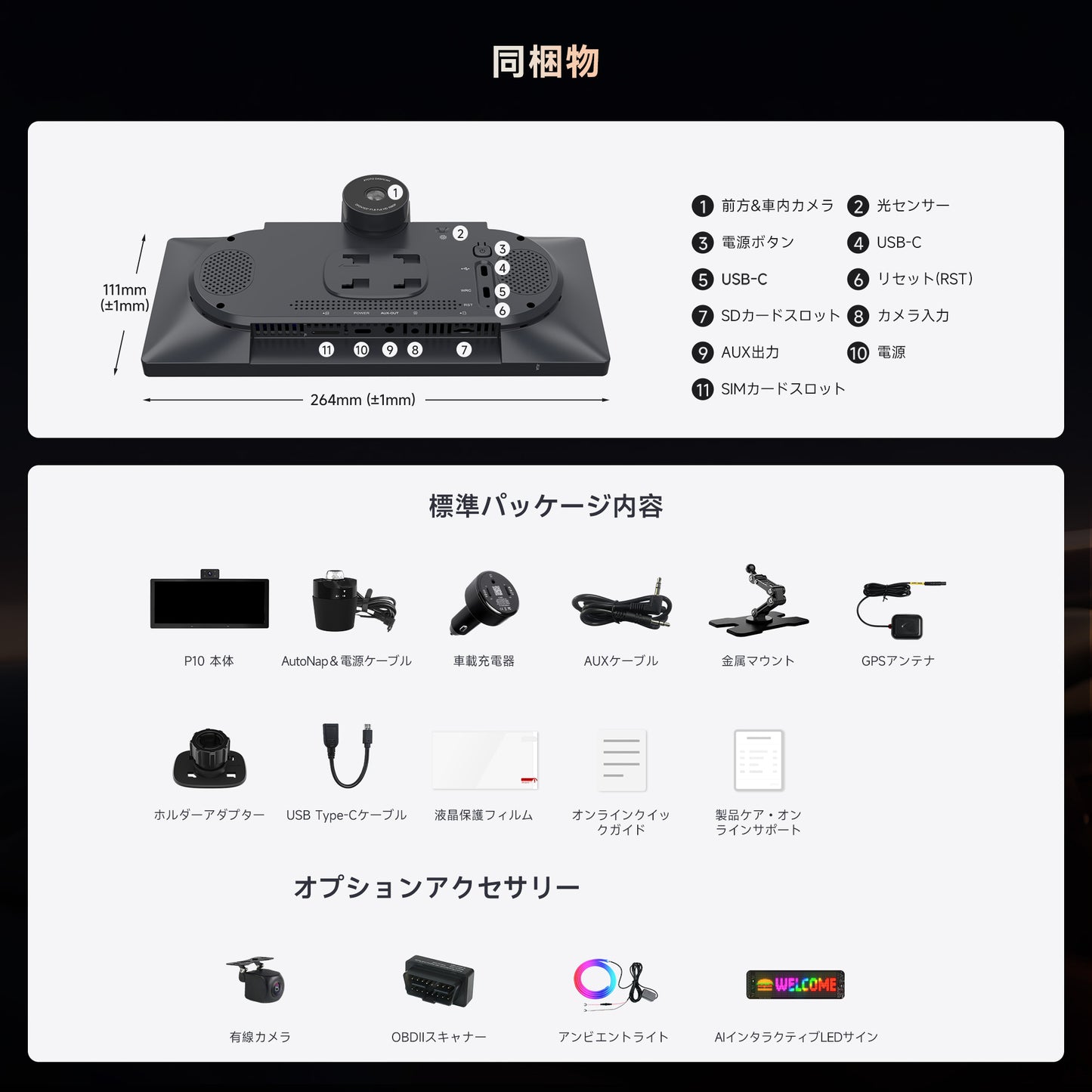 P1025M2M 10.25インチ QLEDポータブルナビ